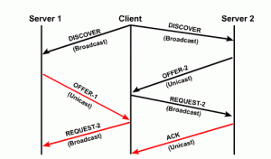 Il processo DHCP