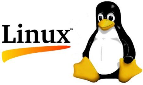 Corso gratuito Advanced Linux System Administrator